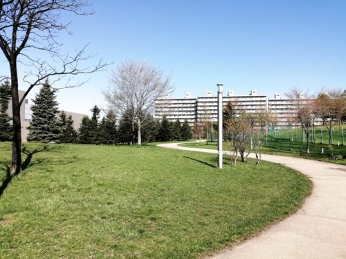 芝広場に設けられた園道。