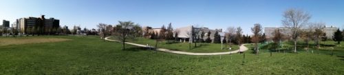 パノラマによる芝広場全体。