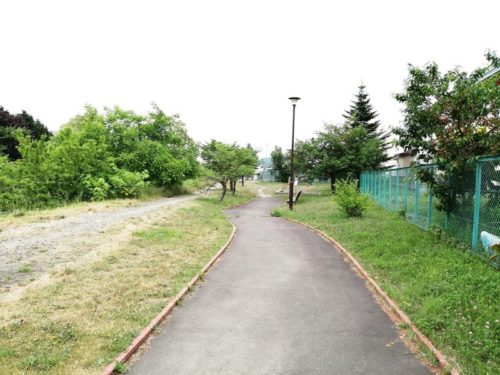 舗装された平坦な園道