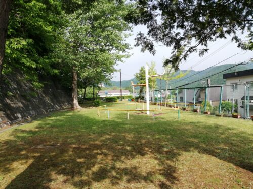 公園全体