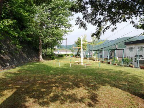 公園全体