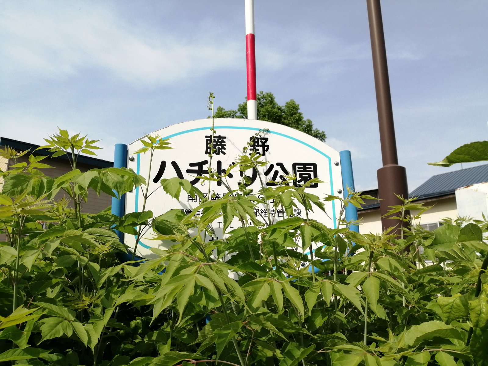 藤野ハチドリ公園の園名板