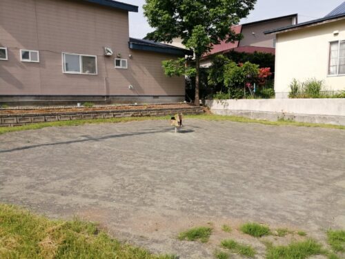 藤野ハチドリ公園の公園全体