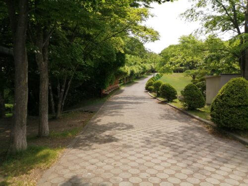 藤が丘高台公園の公園遊歩道