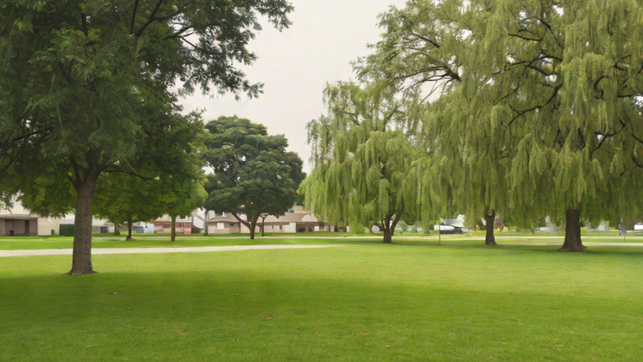 芝生と木のある公園