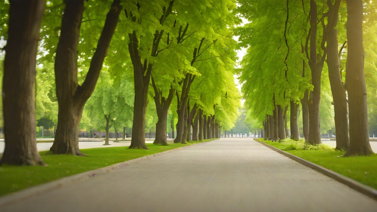 木立のある公園の園路