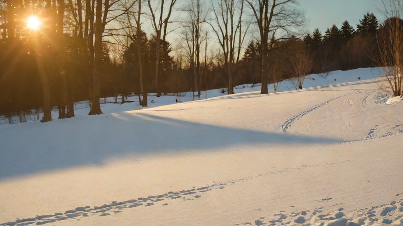 雪山で遊べる冬の公園