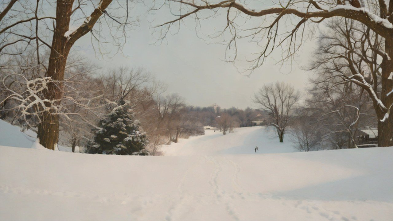 雪山で遊べる冬の公園
